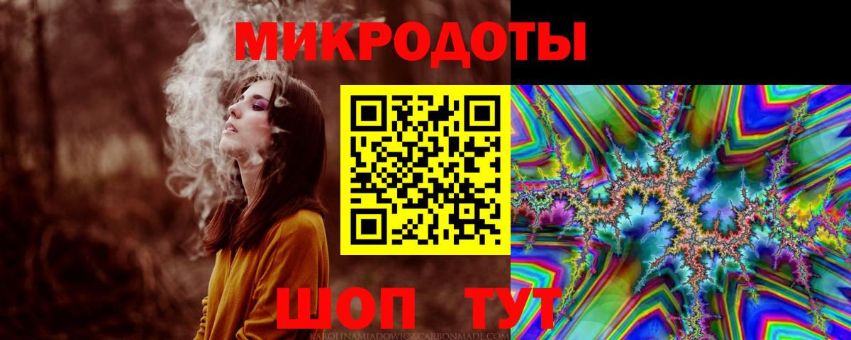 Псилоцибиновые грибы Psilocybine cubensis Кировск