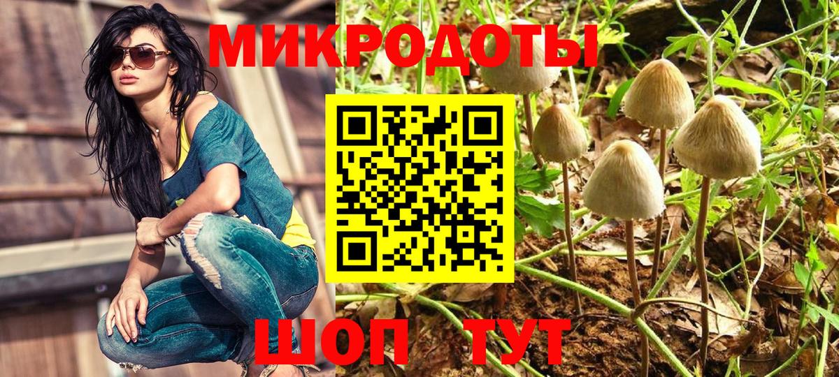 Псилоцибиновые грибы Magic Shrooms  Псилоцибиновые грибы ЛСД  Кировск  Вход с VPN 